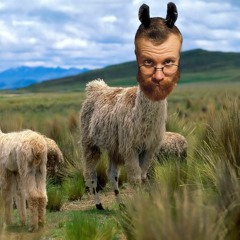 Nameless Pilot Rudolpho