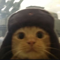 "Is this It" Acoustic Cover