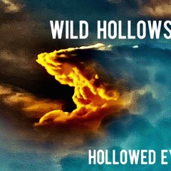 Wild Hollows
