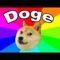 Doge