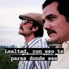 dAvid    dabi Loaiza
