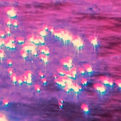 INCORPOREAL 蒸気波