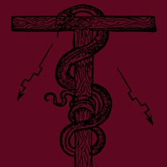 𝖇𝖑𝖔𝖔𝖉𝖛𝖊𝖎𝖓𝖘 𝖎𝖓 𝖙𝖍𝖊 𝖜𝖆𝖛𝖊𝖘