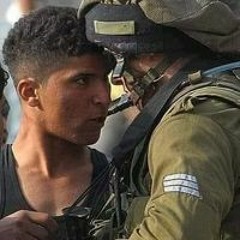 محمد كمال