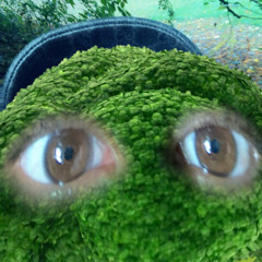 Araben.
