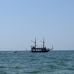 shahzi989