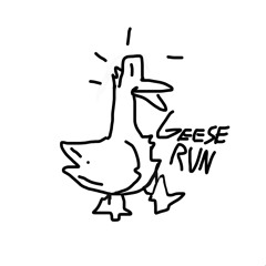 Geese Run