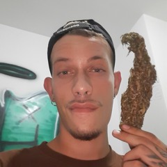 nao sou exemplo__ #VDLSCRWBMX