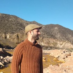 Ariel Diaz Carreño