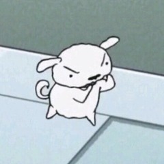 이미정