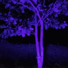 Tum ho (slowed+reverb)