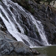 CANCIONES Y POESÍAS