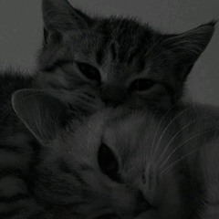 Rozannee~