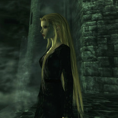 feshn legacy