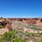 cee.begay