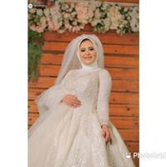 Rody Hamdy
