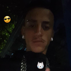dodo