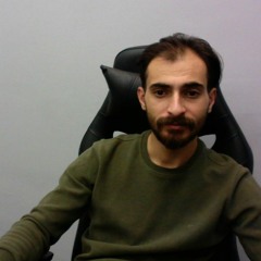 hadi fatemi