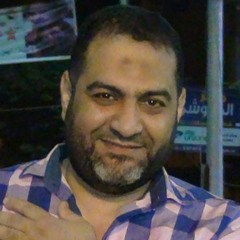 Alaa Labib