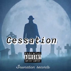 Snwnation