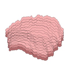 Arienai001
