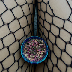 v