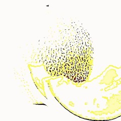 cantaloupe
