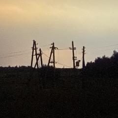 филлсет