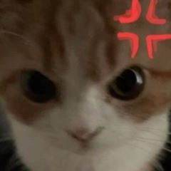 김시금치