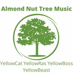 Almond Nut Tree Music Producer