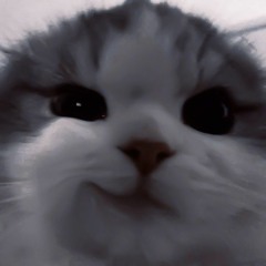 đồ ăn là chân ái