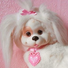 poodle