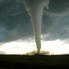 tornado oettinger