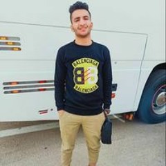 Tarek Elnaghy