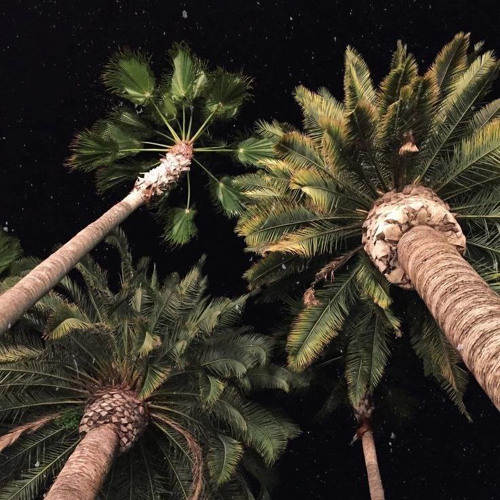 Გიორგი Შოშიტაშვილი Და Ქსოვრელები -  Სიყვარული Იწამე  Giorgi Shoshitashvili&Qsovrelebi