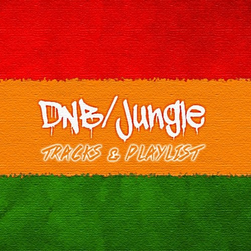 DnB / Jungle / Tracks & Playlist’s avatar