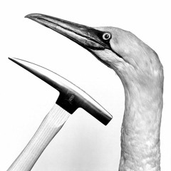 Zero Dollar Gift Card