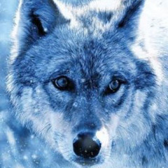BlueWolf