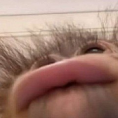 鼻を利かせなよ！