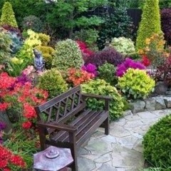 Flora