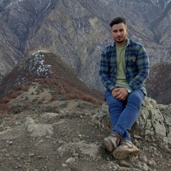 pejman kojouri