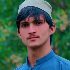 Waleed bacha