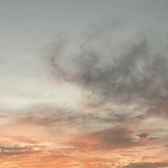 ليلى.