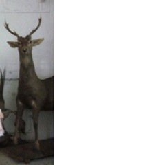 𝒻𝓊𝒸𝓀𝒾𝓃𝑔 𝓂𝑒𝓈𝓈