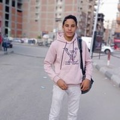 Mostafa M Elkaruony