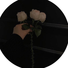 Manar Algurashi 🦋