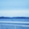 inu_mix