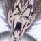FreakyFrieza