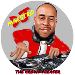 DJ MAESTRO "THE CROWD PLEASER" MR. BIG SPINNER...