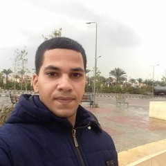 Mohamed Mohsen